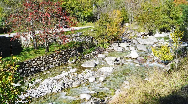 Noguera Tor River Boh Valley Lleida Június 2015 Catalunya Spanyolország — Stock Fotó