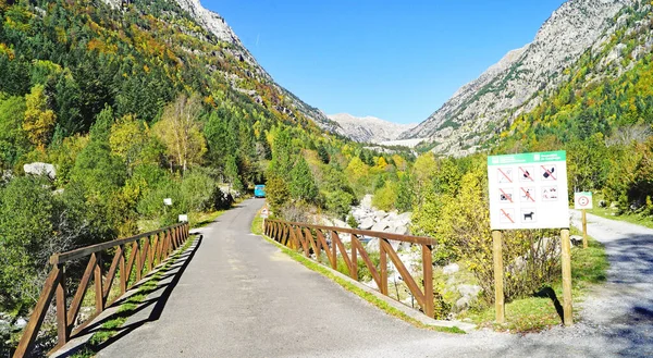 Noguera Tor Floden Boh Valley Lleida Juni 2015 Catalunya Spanien — Stockfoto