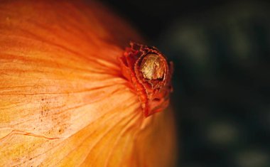 Arkaplan için soğan makrosu