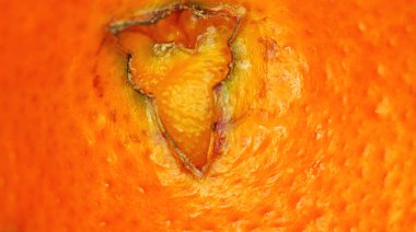 portakal kabuğu makrosu, 