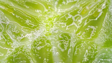 Arkaplan ve dokular için salatalık makrosu