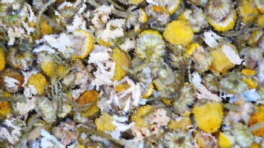 Herbs and seeds for infusions