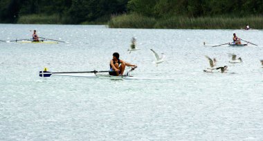 Banyoles Ormanı ve Gölü, 12 Mayıs 2015; Katalunya, İspanya, Avrupa