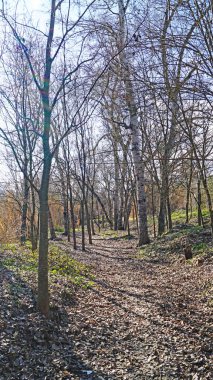 Sant Fruitos ve Sant Benet del Bages manastırı, 12: 15. ; 25 de Agosto de 2018; Barcelona, Katalunya, İspanya, Avrupa