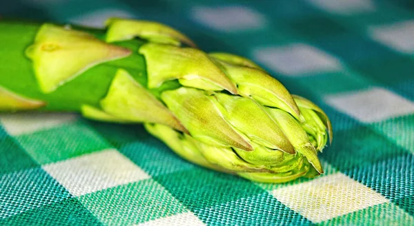 Tip Van Een Asperge Groen Geruite Tafelkleed — Stockfoto