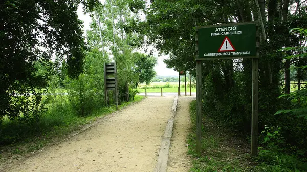 Floresta Lago Banyoles Maio 2015 Catalunha Espanha Europa — Fotografia de Stock