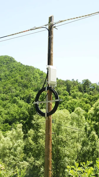 Poste Madera Del Tendido Elctrico Paisaje Catalunya Junio 2015 Catalunya — Stok fotoğraf