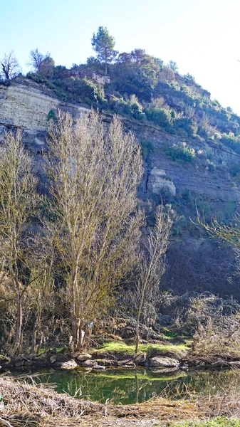 Sant Fruitos Sant Benet Del Bages Manastırı Agosto 2018 Barcelona — Stok fotoğraf