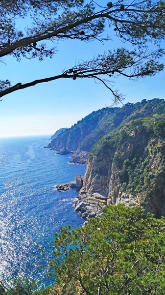 Панорама Тосса Мар Коста Браві Провінції Жирона Каталонія Іспанія Європа — стокове фото