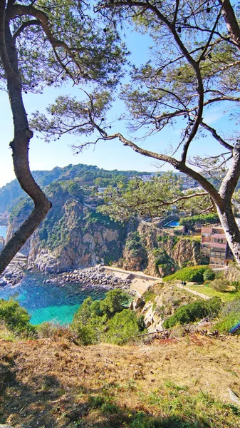 Panoramata Tossa Mar Pobřeží Costa Brava Provincii Girona Katalánsko Španělsko — Stock fotografie