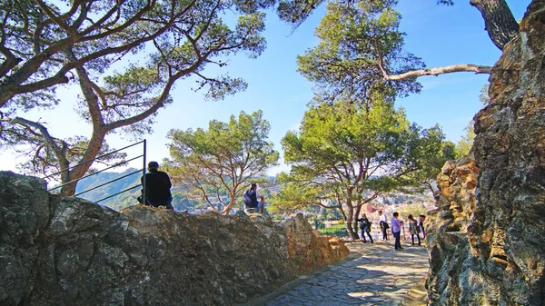 トッサ マルのパノラマジローナ県のコスタ ブラバ カタルーニャ州 スペイン ヨーロッパ — ストック写真