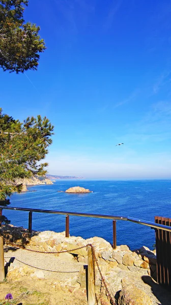 Panoramica Tossa Mar Sulla Costa Brava Provincia Girona Catalogna Spagna — Foto Stock