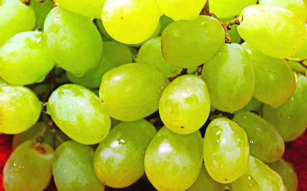 Green Grape Red Tablecloth — Stock Photo, Image