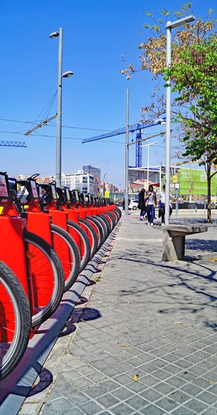 스페인 바르셀로나 카탈루냐 유럽에서의 집세용 자전거 — 스톡 사진