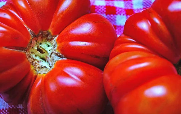 Kırmızı Masa Örtüsü Üzerinde Domates Kuşkonmaz — Stok fotoğraf