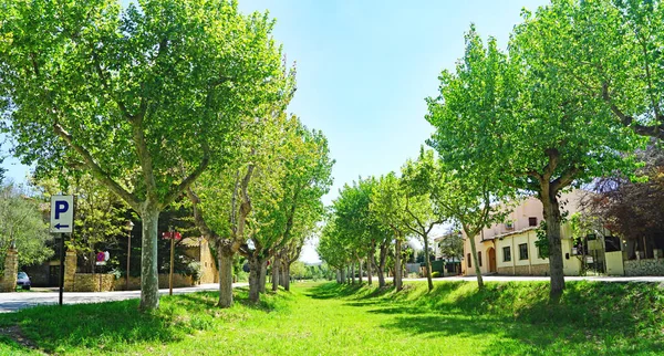 Panoramique Peratallada Municipalité Forallac 12H35 Julio 2018 Bajo Ampurdn Girona — Photo