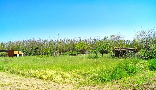 Paysage Des Champs Dans Municipalité Forallac Julio 2018 Bajo Ampurdn — Photo