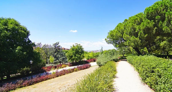 Straßen Madrid Spanien Europa — Stockfoto