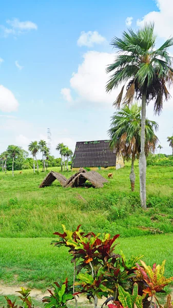 Uitzicht Het Natuurlijke Landschap Van Republiek Cuba Cuba — Stockfoto