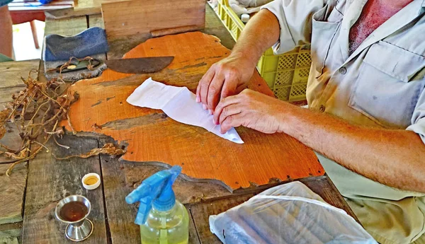 카리브해 공화국 비알레스 계곡에서 손으로 담배를 만드는 — 스톡 사진