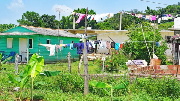 Paysage République Cuba Août 2019 — Photo