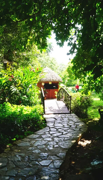 Paisaje Zonas Recreo Cuba Agosto 2019 Republica Cuba — Stock Photo, Image