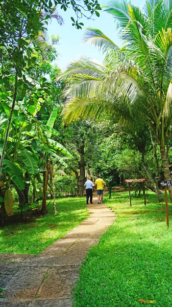 Paisaje Zonas Recreo Cuba Agosto 2019 Republica Cuba — ストック写真