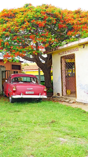 Küba Cumhuriyeti Nde Klasik Arabalar Ağustos 2019 — Stok fotoğraf