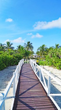 Karayipler 'deki Cayo Santa Mara' nın Genel Bakış, Küba Cumhuriyeti