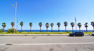 Badalona, Barcelona, Katalunya, İspanya ve Avrupa sahillerinde palmiye ağaçları ile gezinti