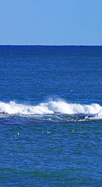 Strand Van Nova Icaria Barcelona Catalunya Spanje Europa — Stockfoto