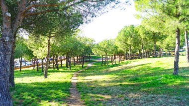 Katalunya Parkı ve kentsel manzara bahçeleri ve Sabadell, Barcelona, Katalunya, İspanya, Avrupa 'daki modern mimari