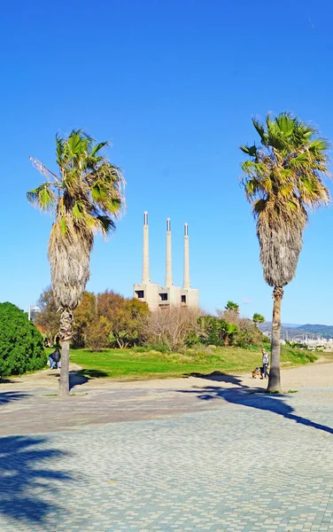 Giardini Spiaggia Sant Adria Del Besos Barcellona Catalogna Spagna Europa — Foto Stock