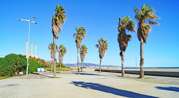 Gärten Und Strand Von Sant Adria Del Besos Barcelona Katalonien — Stockfoto