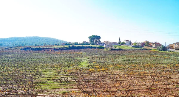 Alt Kamp Katalunya Spanya Avrupa Daki Rodony Manzarası — Stok fotoğraf