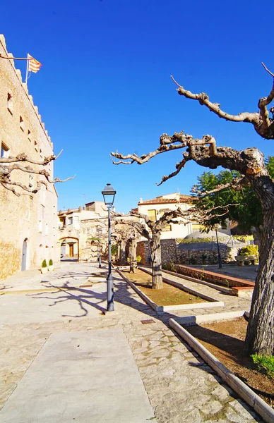 Vista Rodony Alt Camp Catalunya España Europa — Foto de Stock