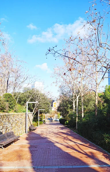 Parque Catalunya Paisaje Urbano Jardines Arquitectura Moderna Sabadell Barcelona Cataluña — Foto de Stock