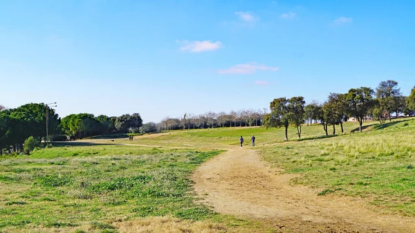 Katalunya Parkı Kentsel Manzara Bahçeleri Sabadell Barcelona Katalunya Spanya Avrupa — Stok fotoğraf