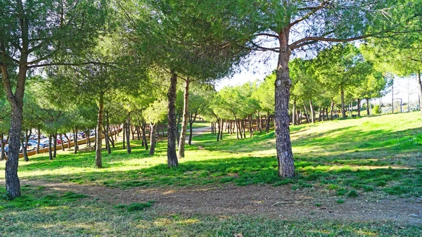 Park Kataloński Miejskie Ogrody Krajobrazowe Oraz Nowoczesna Architektura Sabadell Barcelonie — Zdjęcie stockowe