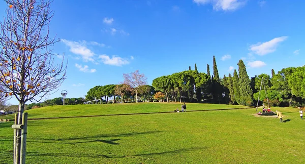 Парк Каталонії Міські Ландшафтні Сади Сучасна Архітектура Сабаделі Барселона Каталонія — стокове фото