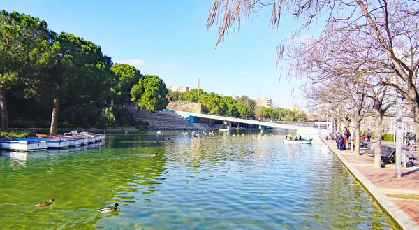 Catalunya Park Urban Landscape Gardens Modern Architecture Sabadell Barcelona Catalunya — Stock Photo, Image