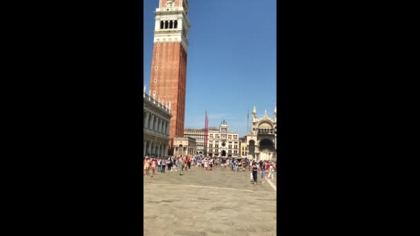 Markusplatz Venedig Italien Europa — Stockvideo