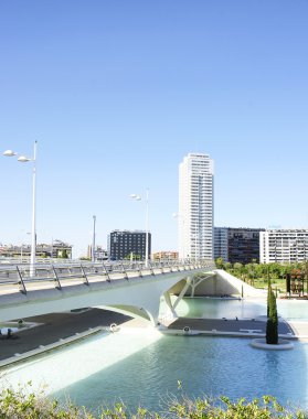 Valencia Sanat ve Bilim Şehri.