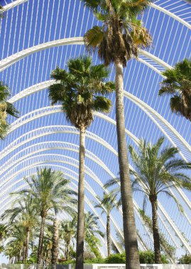 Valencia Sanat ve Bilim Şehri.