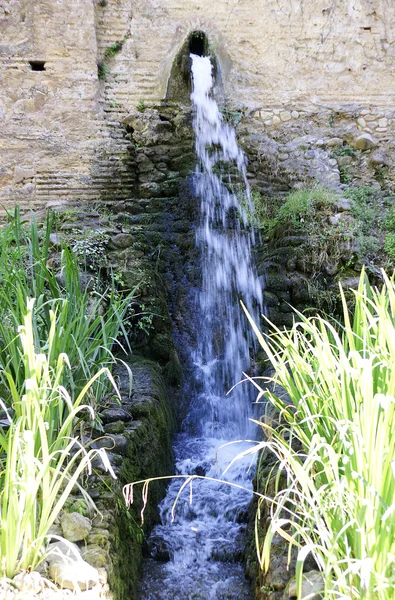 Água de nascente — Fotografia de Stock