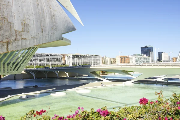 City of Arts and Sciences in Valencia — Stock Photo, Image