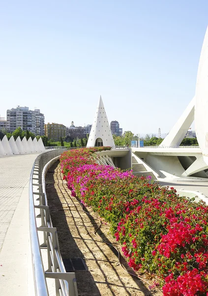 Cidade das Artes e Ciências em Valencia — Fotografia de Stock