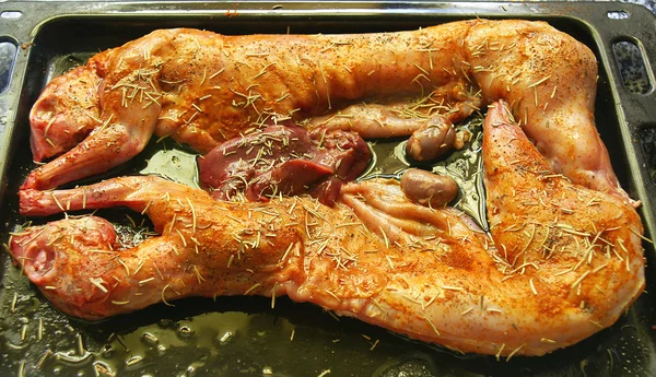 Rabbit in the oven prepared for cooking — Stock Photo, Image