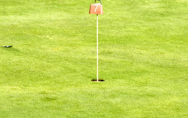 Pole golfowe oraz klub — Zdjęcie stockowe