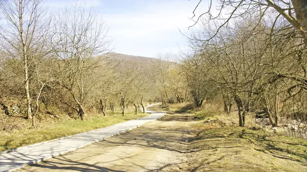 Közúti és a természetes park-erdő — Stock Fotó